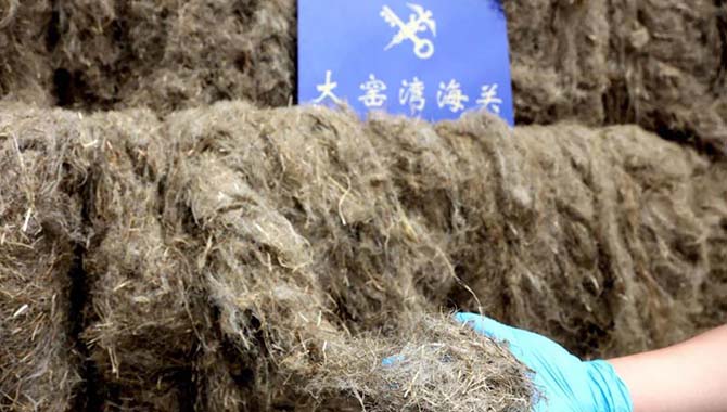 大连海关监管退运“洋垃圾”59.2吨
