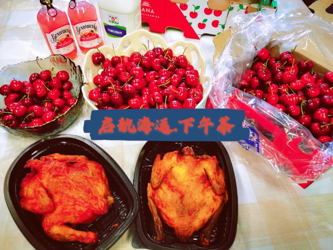 【招聘】启航海运招贤启事,虚位以待,只等你来!