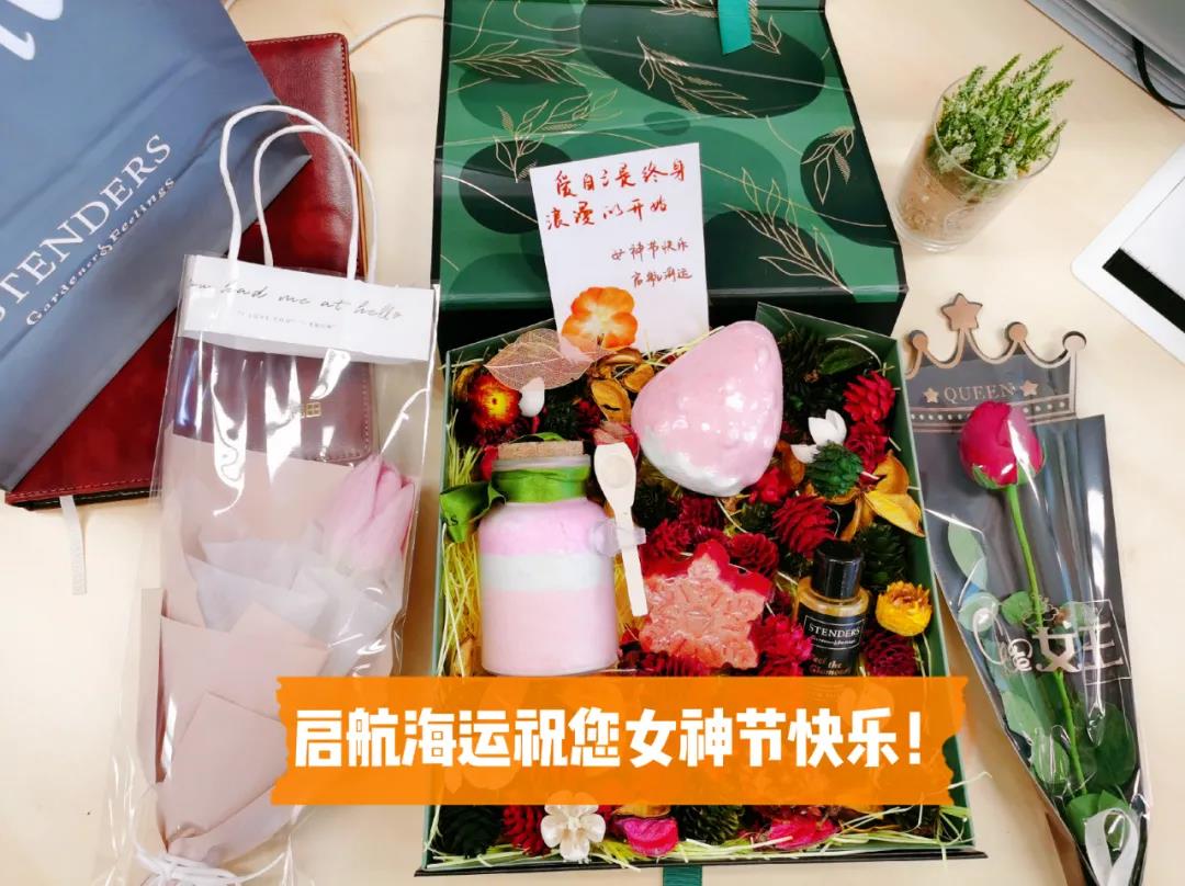 【招聘】启航海运招贤启事,虚位以待,只等你来!
