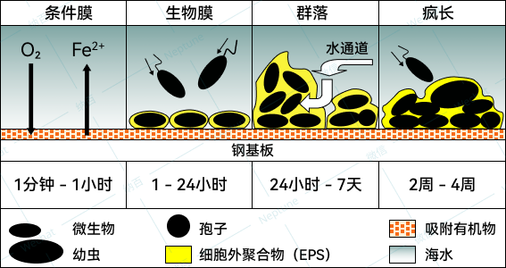 锚地24小时,我省了百万油费