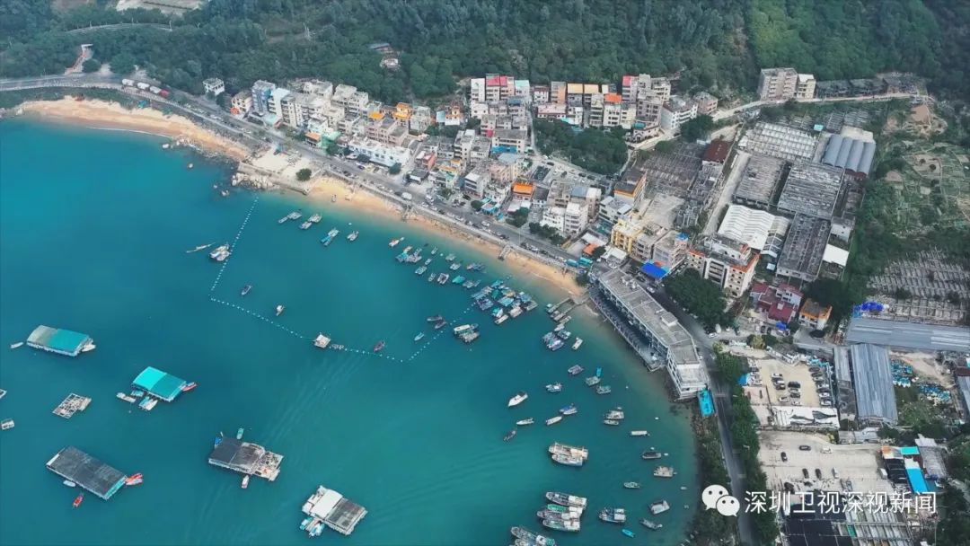 “全球海洋中心城市”深圳方案全面发布
